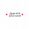 flex thermocollant pour flocage Teeshirt spécial mariage EVJF "Equipe de la future mariée"