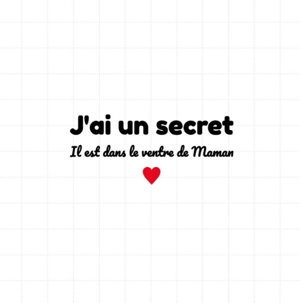 flex thermocollant avec le texte "j'ai un secret" "Il est dans le ventre de Maman"