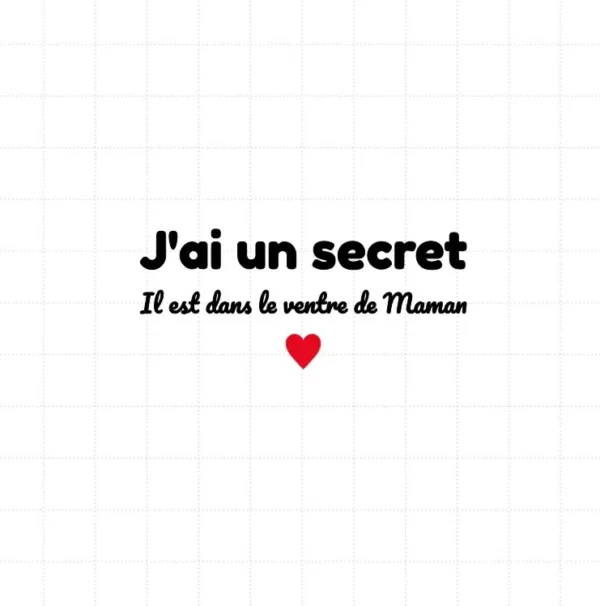 flex thermocollant avec le texte "j'ai un secret" "Il est dans le ventre de Maman"
