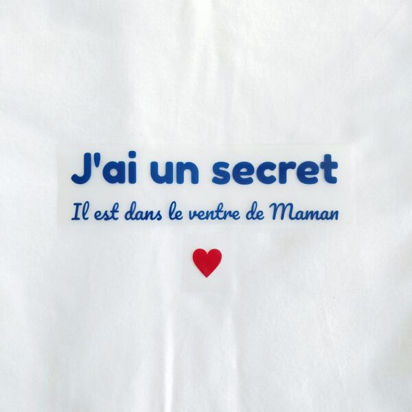 photo du flex fini j'ai une secret, il est dans le ventre de maman en bleu foncé