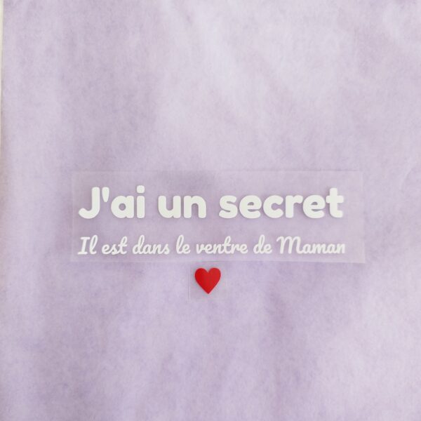 photo du flex fini j'ai une secret, il est dans le ventre de maman en blanc