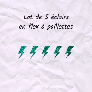 Lot de 5 éclairs en flex ou vinyle thermocollant à paillettes